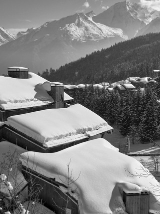 La tania    |   2  /  5    | 